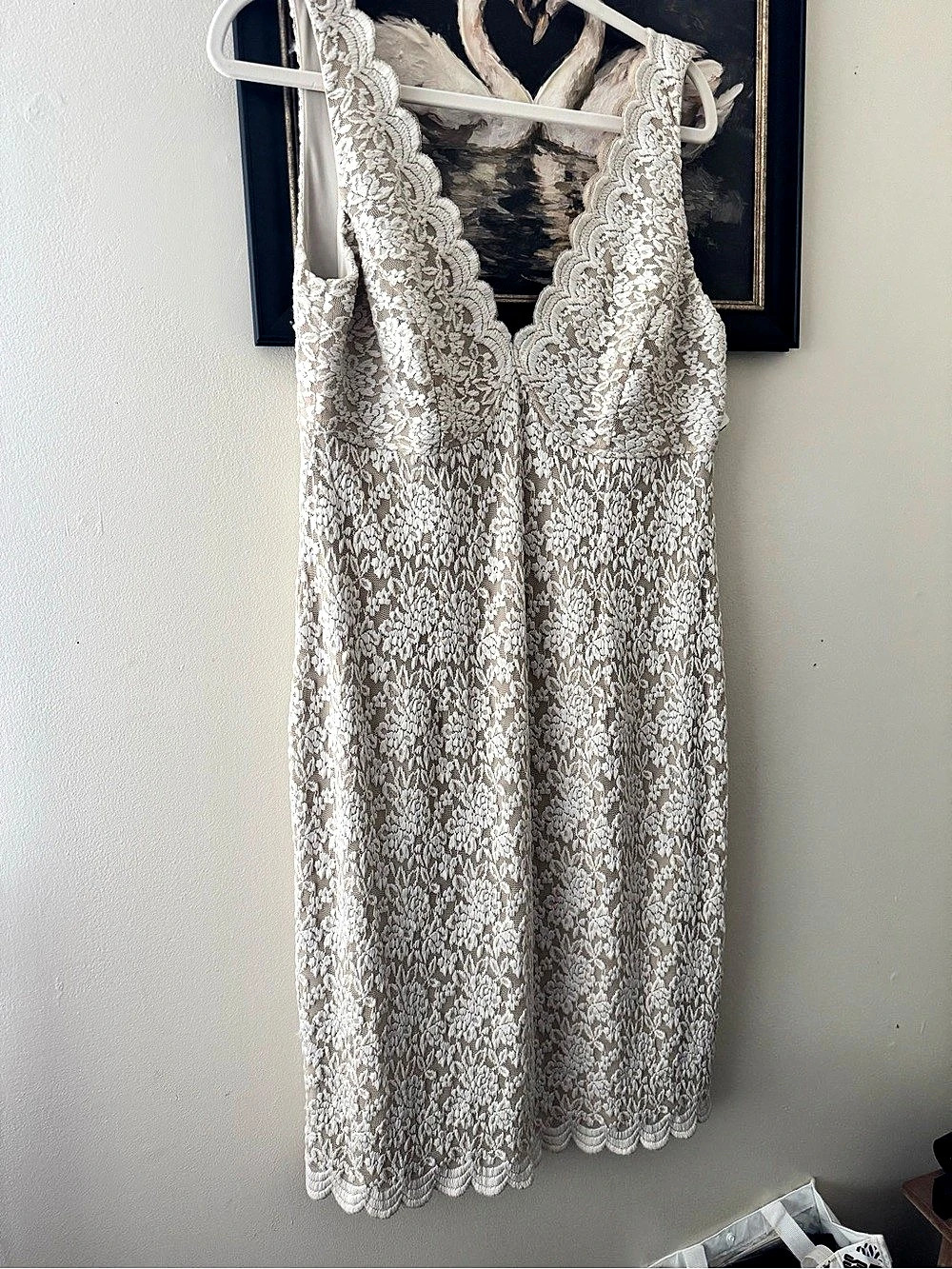 Collections dressbarn Floral Lace Midi Dress Cream Size 14